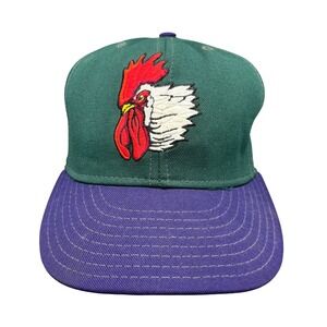 Vintage Pro-Line Myrtle Beach Roosters Minor League Baseball Hat 7 1/8 USA Made